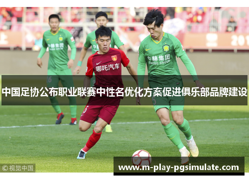 中国足协公布职业联赛中性名优化方案促进俱乐部品牌建设 中国足协公布职业联赛中性名优化方案促进俱乐部品牌建设