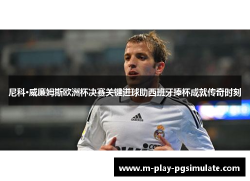 尼科·威廉姆斯欧洲杯决赛关键进球助西班牙捧杯成就传奇时刻 尼科·威廉姆斯欧洲杯决赛关键进球助西班牙捧杯成就传奇时刻