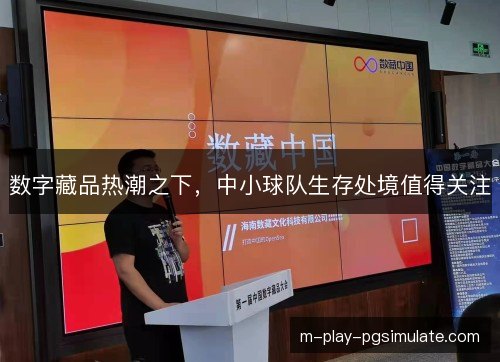 数字藏品热潮之下，中小球队生存处境值得关注